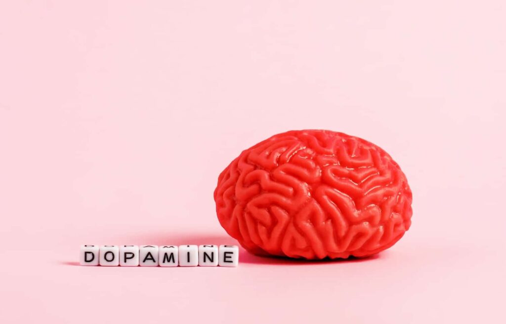 Hjerneskanninger dopamin - dopamin sosiale medier avhengighet
